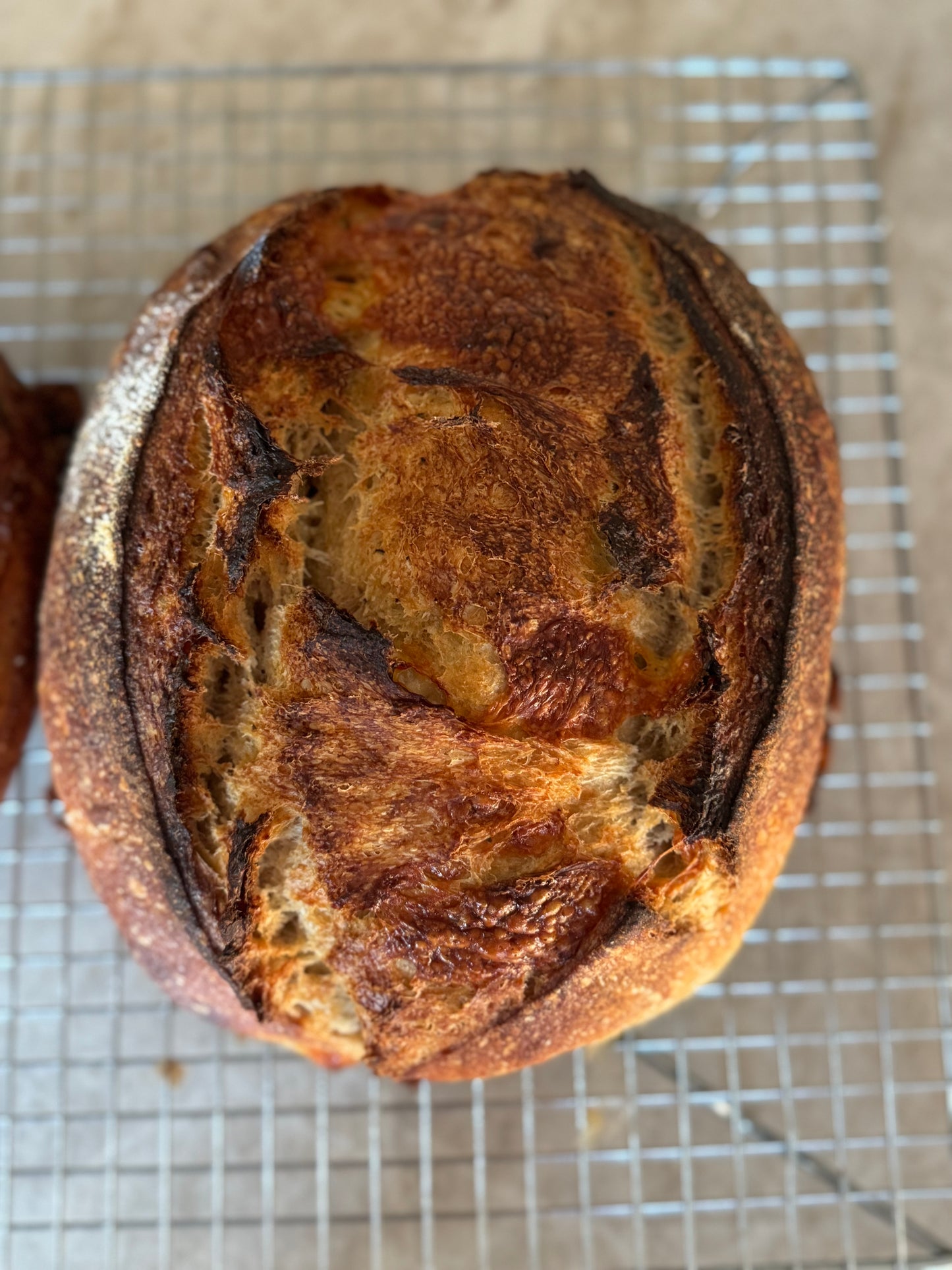 White Cheddar and Pepper Sourdough